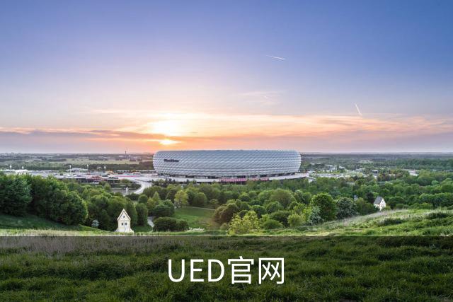 UED官网公司简介